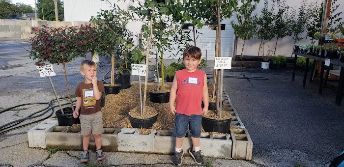 Stone & Garden Supply Picture 1