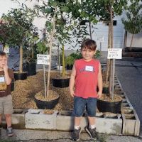 Stone & Garden Supply ico