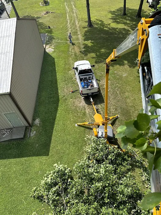 Diamond Property Maintenance Picture 10