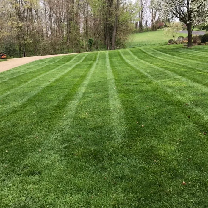 J&S Mowing and More Picture 7