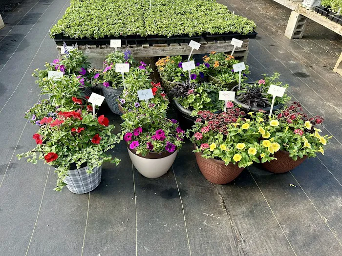 VIP Foliage & Landscaping Picture 4