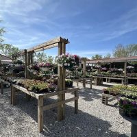 VIP Foliage & Landscaping ico