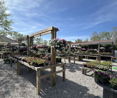 VIP Foliage & Landscaping