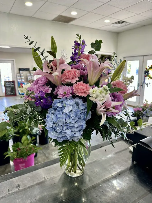 VIP Foliage & Landscaping Picture 7