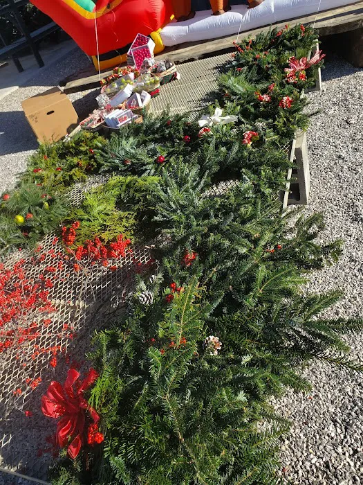 SWN Garden Center Picture 9