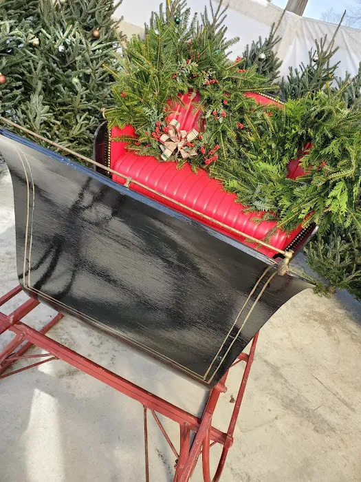 SWN Garden Center Picture 7