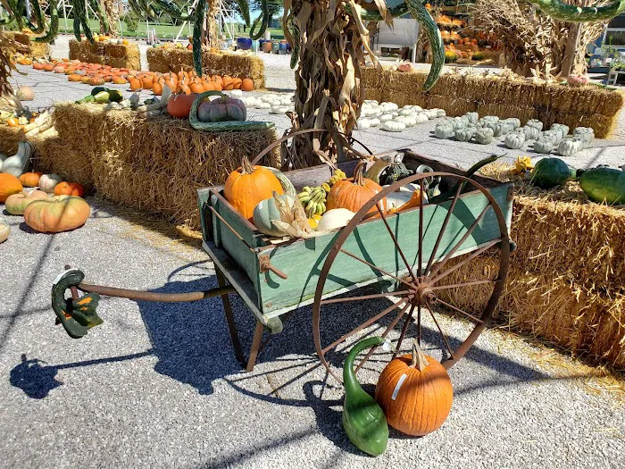 SWN Garden Center Picture 5