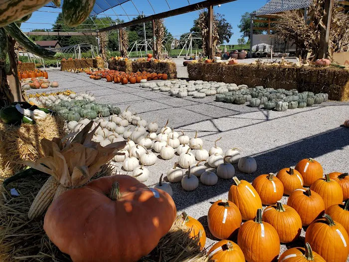 SWN Garden Center Picture 6