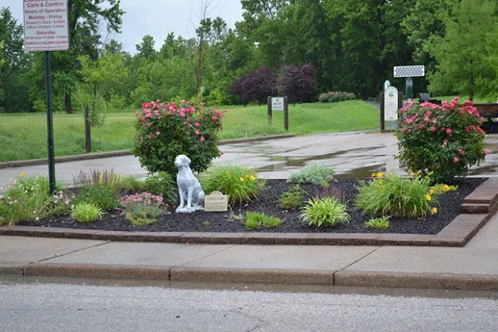Brewer Farms Inc Picture 6
