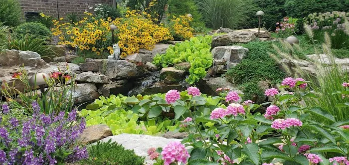 Ben Bush Landscapes & Irrigation Picture 1