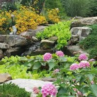Ben Bush Landscapes & Irrigation ico