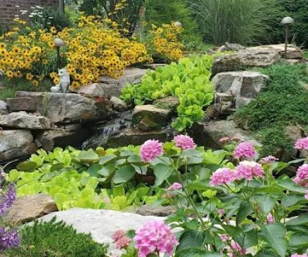 Ben Bush Landscapes & Irrigation