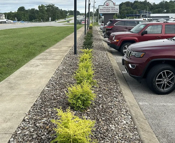 Lancaster Lawn & Landscaping, LLC Picture 7