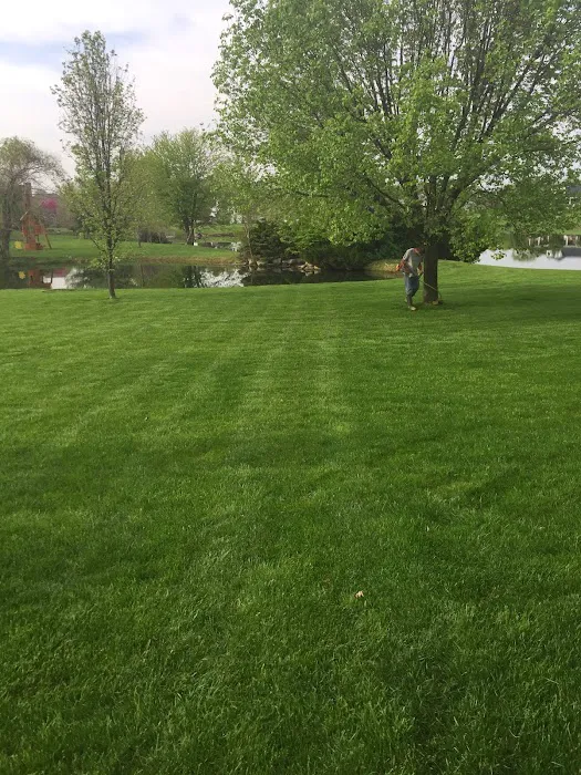 Affordable Landscape and Mowing, LLC Picture 8