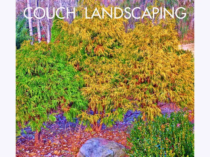 Michael J Couch Landscape Picture 1