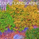 Michael J Couch Landscape