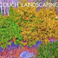 Michael J Couch Landscape ico