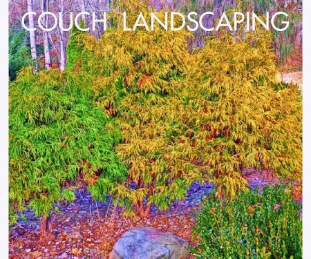 Michael J Couch Landscape