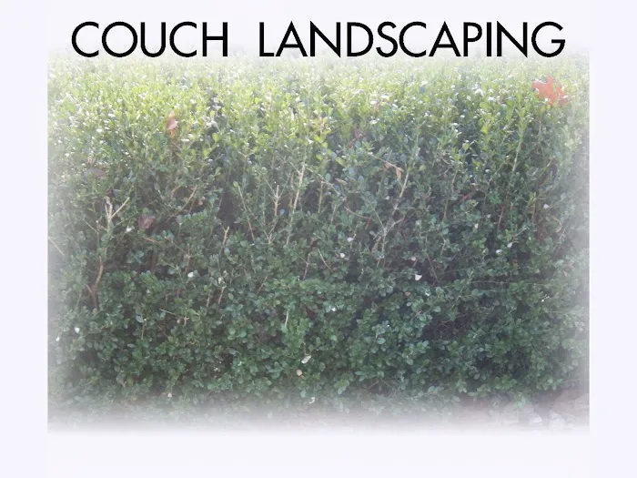 Michael J Couch Landscape Picture 2