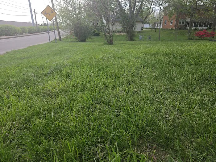 Lawn Masters Picture 7