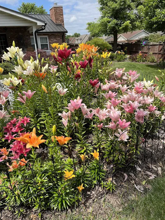 Lawn Masters Picture 2