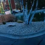 Newburgh Lawn & Landscape
