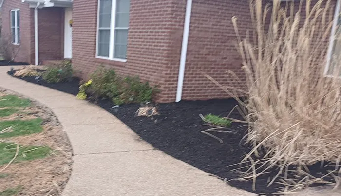 Newburgh Lawn & Landscape Picture 2