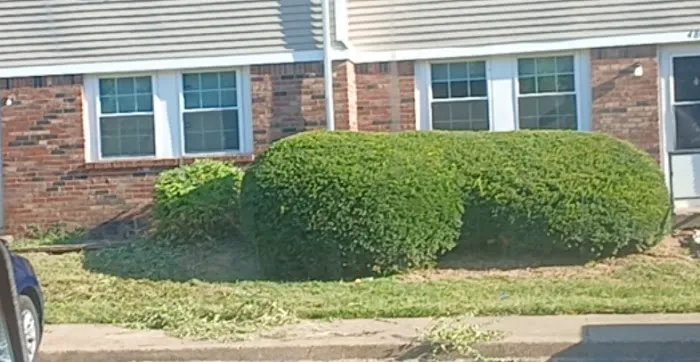 Newburgh Lawn & Landscape Picture 9