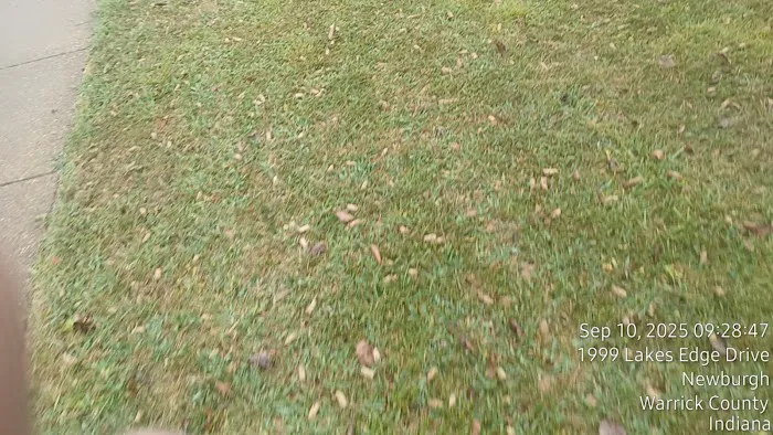 Newburgh Lawn & Landscape Picture 8