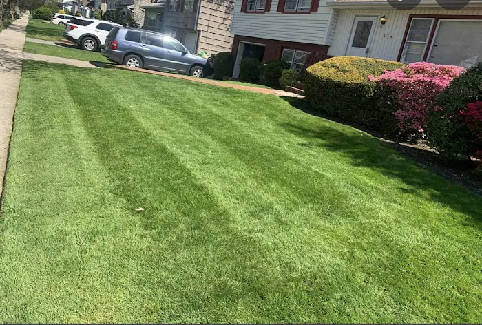 Oneal's Lawn Maintenance/Landscaping Picture 8