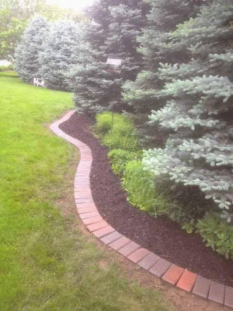 Springfield Lawn and Landscape Picture 5