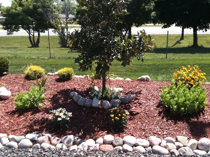 Springfield Lawn and Landscape Picture 2