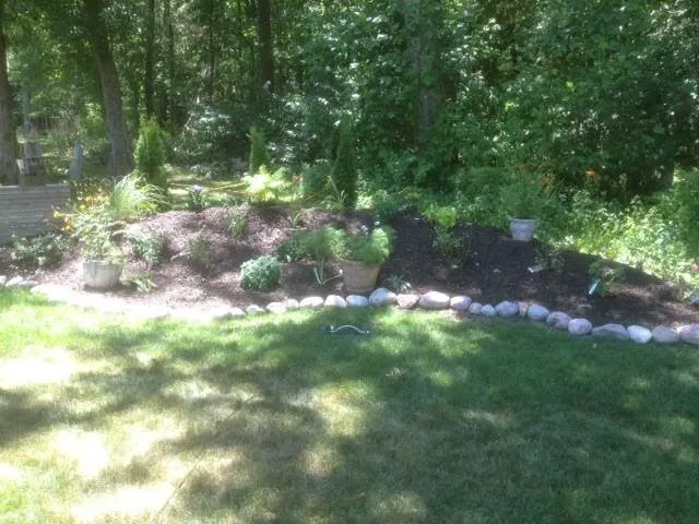 Springfield Lawn and Landscape Picture 1