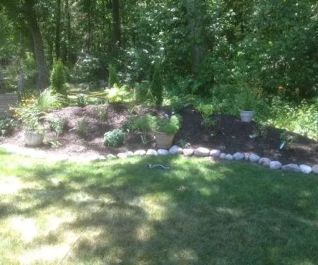 Springfield Lawn and Landscape