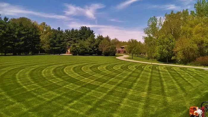 Wellman's Lawn Care Picture 10