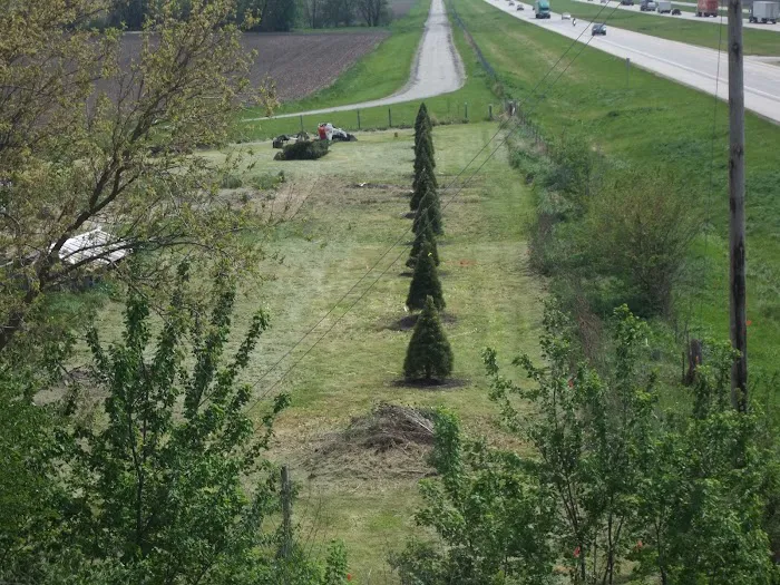 Monarch Landscaping & Garden Center Picture 8