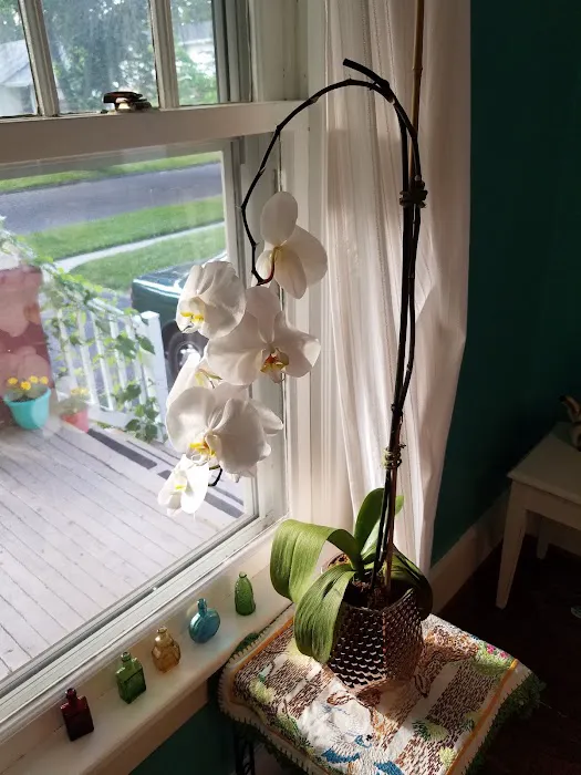 Pleasant Nursery Inc Picture 5