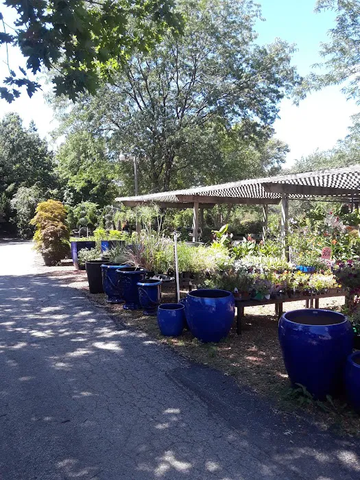 Pleasant Nursery Inc Picture 4