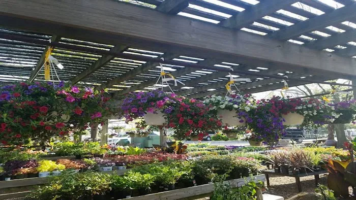 Pleasant Nursery Inc Picture 9