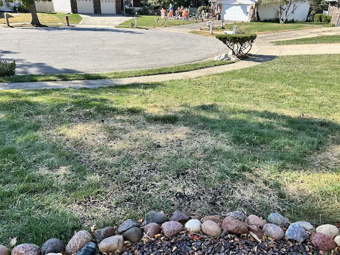 Jack Robertson Lawn Care Picture 2