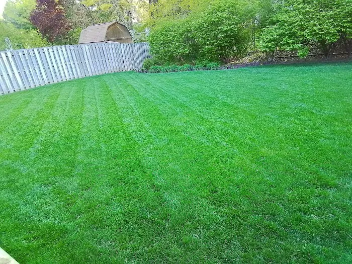 Jack Robertson Lawn Care Picture 7