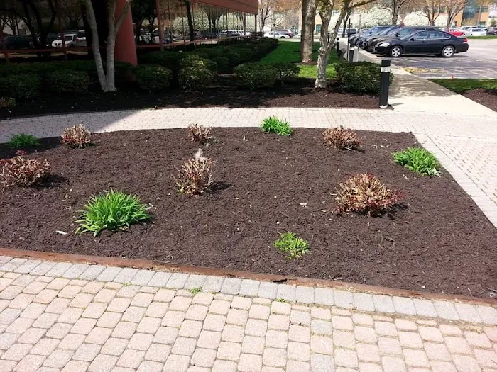Titan Lawn and Landscape Picture 2