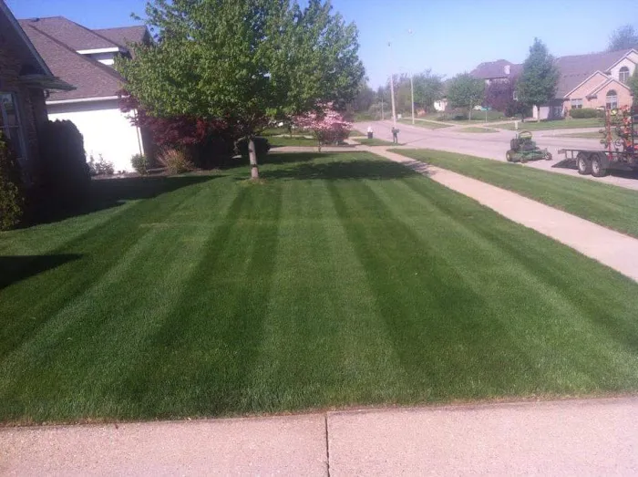 Titan Lawn and Landscape Picture 3