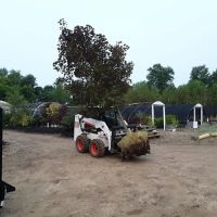 Mulder's Nursery - Kalamazoo Location ico