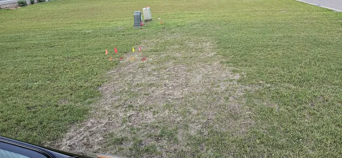 ProTurf Management LLC Picture 6