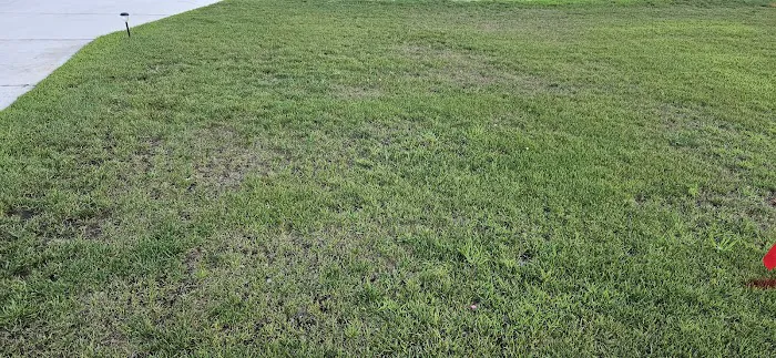 ProTurf Management LLC Picture 4