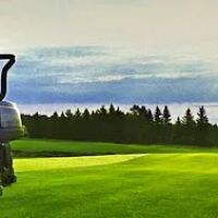 West Michigan Lawn Services LLC ico