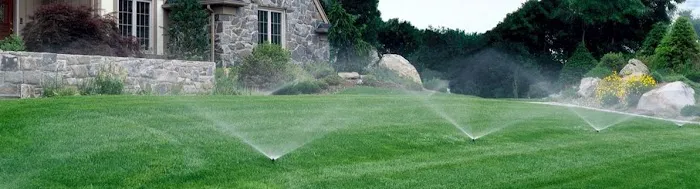 West Michigan Lawn Services LLC Picture 3