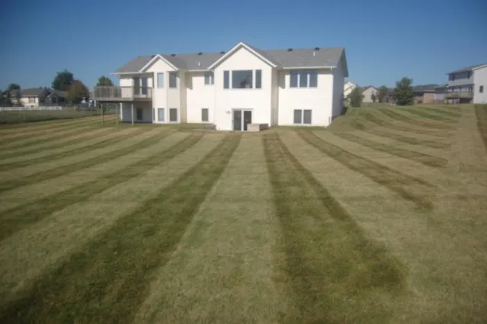 Oasis Lawn Care Picture 2