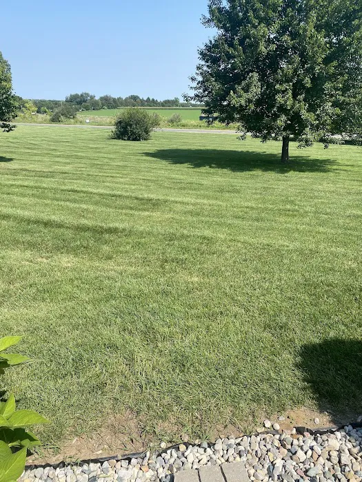 Oasis Lawn Care Picture 4